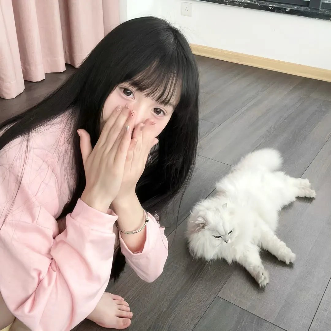 动画剧集